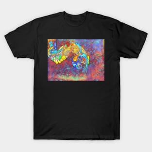 Python 2 T-Shirt